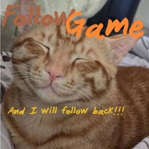 Orangetheory Orange Tabby Cat Grooming Motivational Decal Follow & I follow back